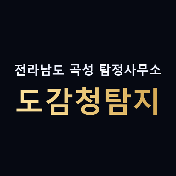 전라남도 곡성 탐정사무소 도감청탐지 맥가이버