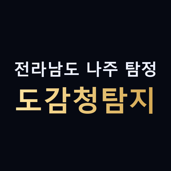 전라남도 나주 탐정 도감청탐지 맥가이버
