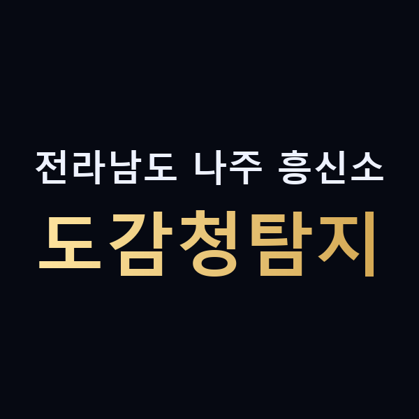 전라남도 나주 흥신소 도감청탐지 맥가이버