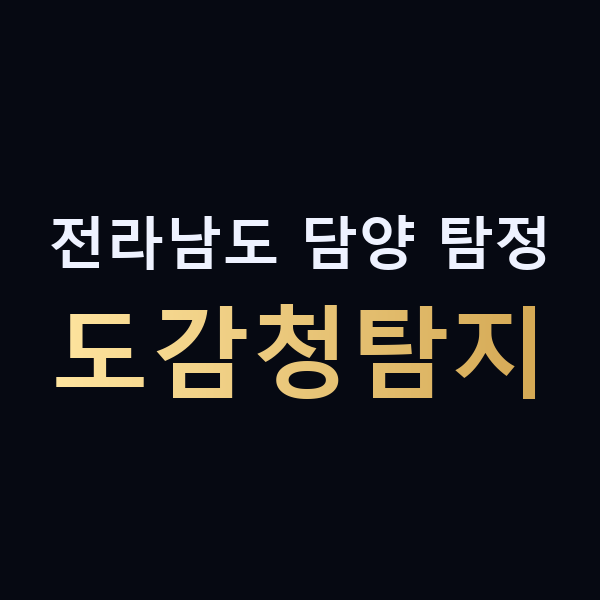 전라남도 담양 탐정 도감청탐지 맥가이버