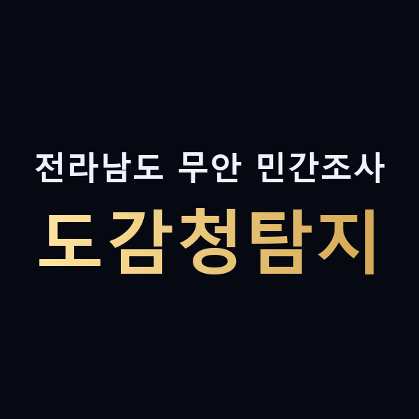 전라남도 무안 민간조사 도감청탐지 맥가이버