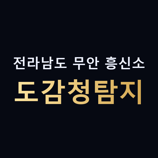 전라남도 무안 흥신소 도감청탐지 맥가이버