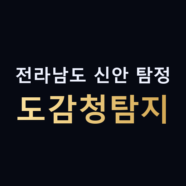 전라남도 신안 탐정 도감청탐지 맥가이버