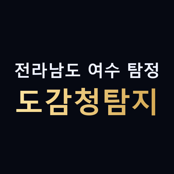 전라남도 여수 탐정 도감청탐지 맥가이버