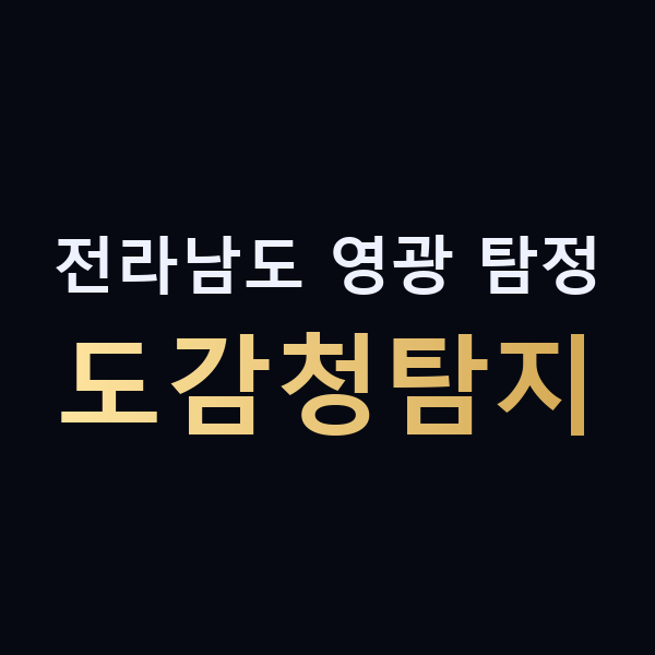 전라남도 영광 탐정 도감청탐지 맥가이버