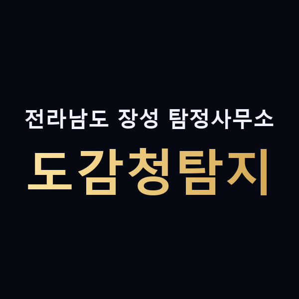 전라남도 장성 탐정사무소 도감청탐지 맥가이버