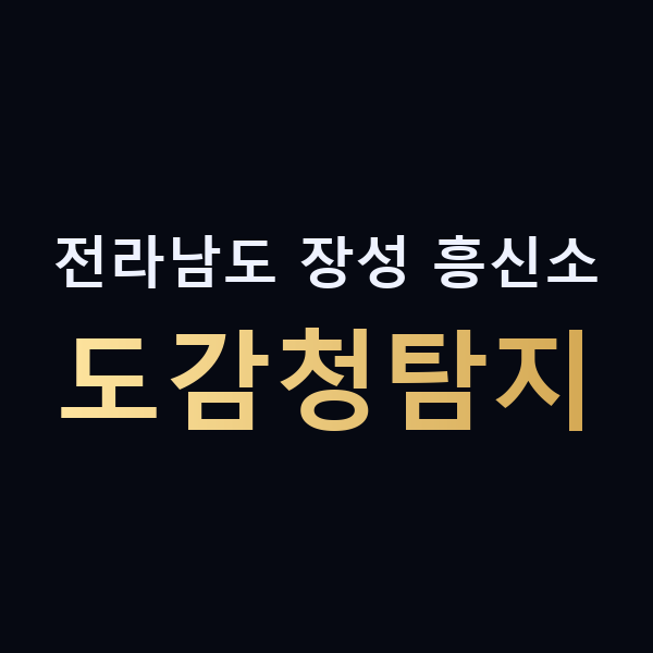 전라남도 장성 흥신소 도감청탐지 맥가이버
