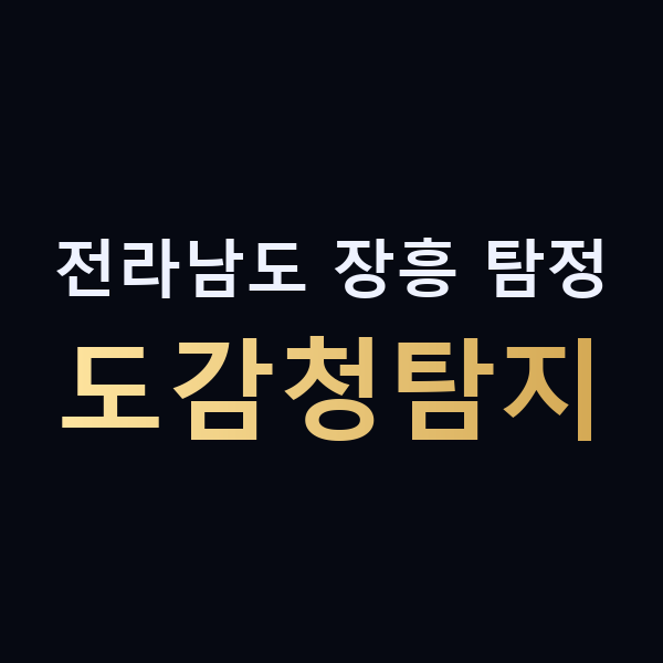 전라남도 장흥 탐정 도감청탐지 맥가이버