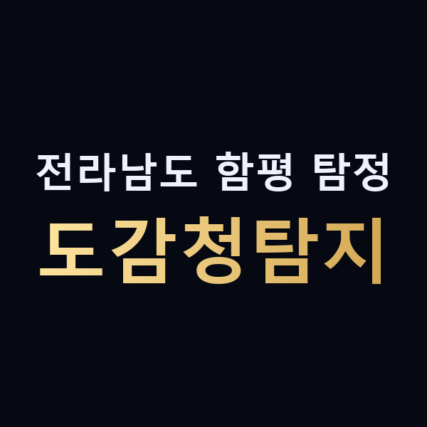 전라남도 함평 탐정 도감청탐지 맥가이버