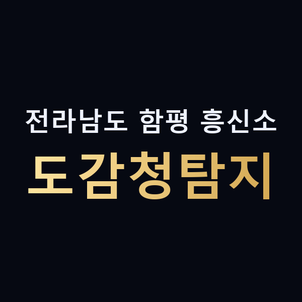 전라남도 함평 흥신소 도감청탐지 맥가이버