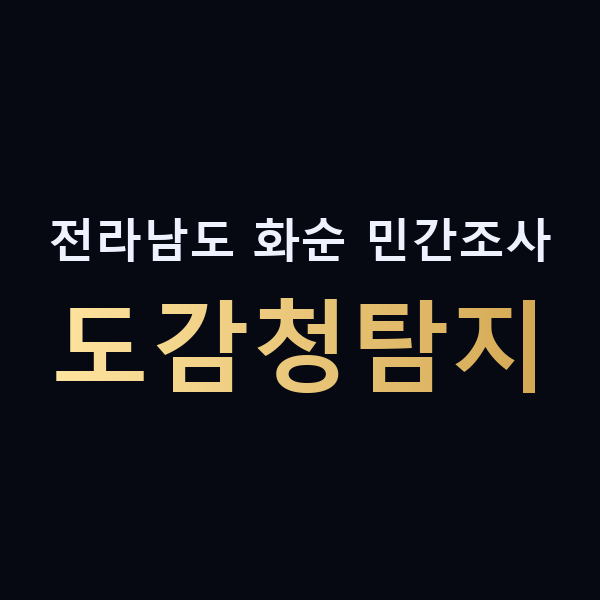 전라남도 화순 민간조사 도감청탐지 맥가이버