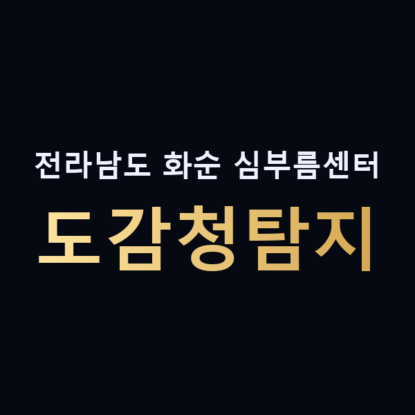 전라남도 화순 심부름센터 도감청탐지 맥가이버