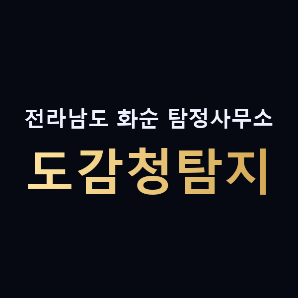 전라남도 화순 탐정사무소 도감청탐지 맥가이버