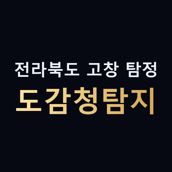 전라북도 고창 탐정 도감청탐지 맥가이버