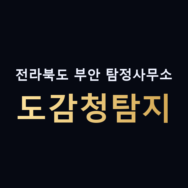 전라북도 부안 탐정사무소 도감청탐지 맥가이버