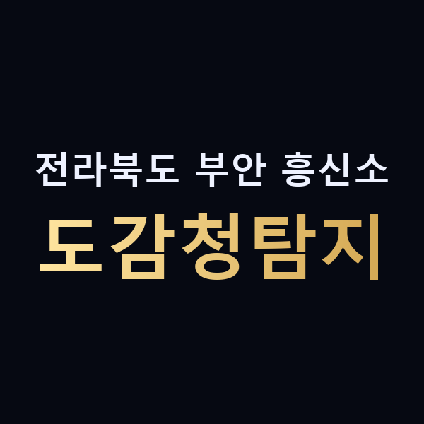 전라북도 부안 흥신소 도감청탐지 맥가이버