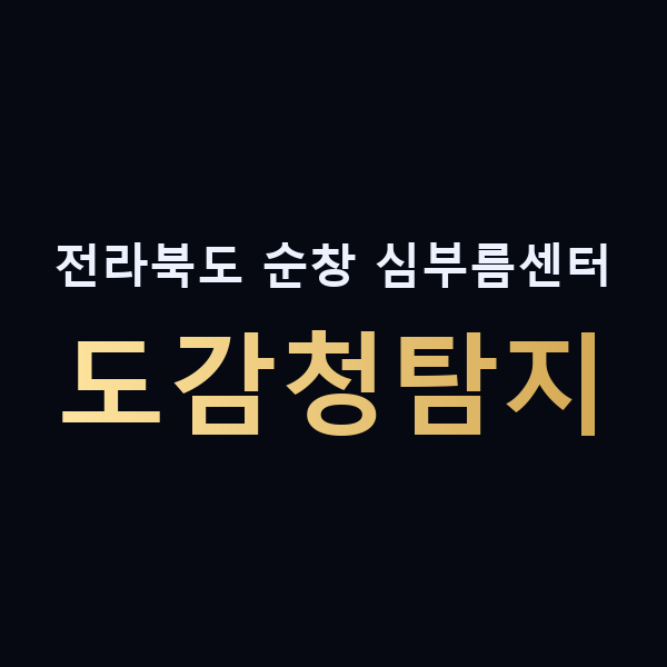 전라북도 순창 심부름센터 도감청탐지 맥가이버