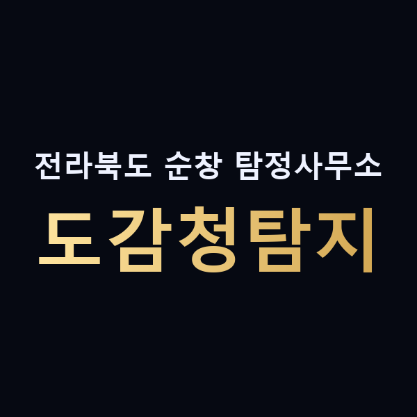 전라북도 순창 탐정사무소 도감청탐지 맥가이버