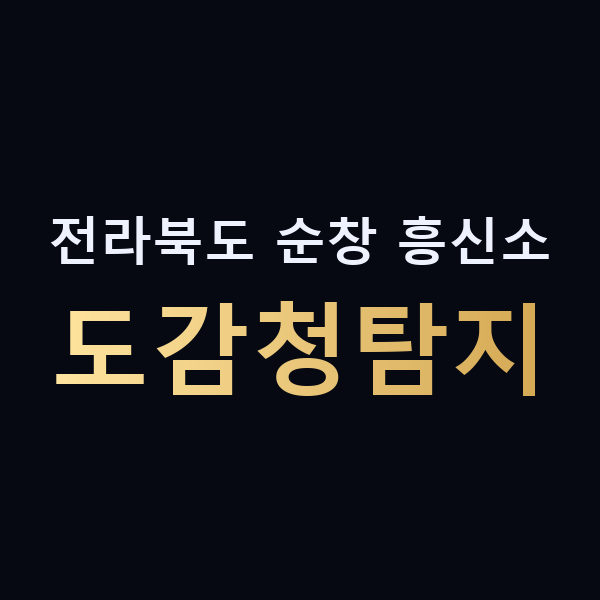 전라북도 순창 흥신소 도감청탐지 맥가이버