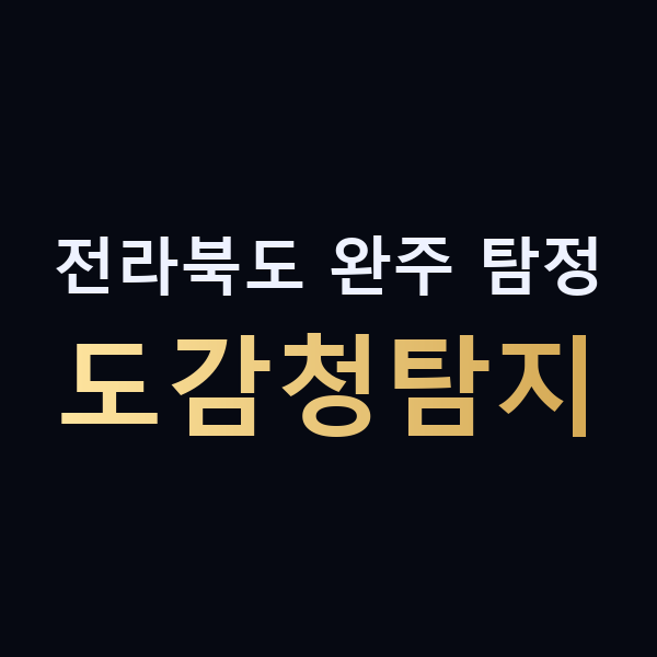 전라북도 완주 탐정 도감청탐지 맥가이버