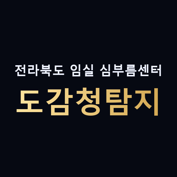 전라북도 임실 심부름센터 도감청탐지 맥가이버