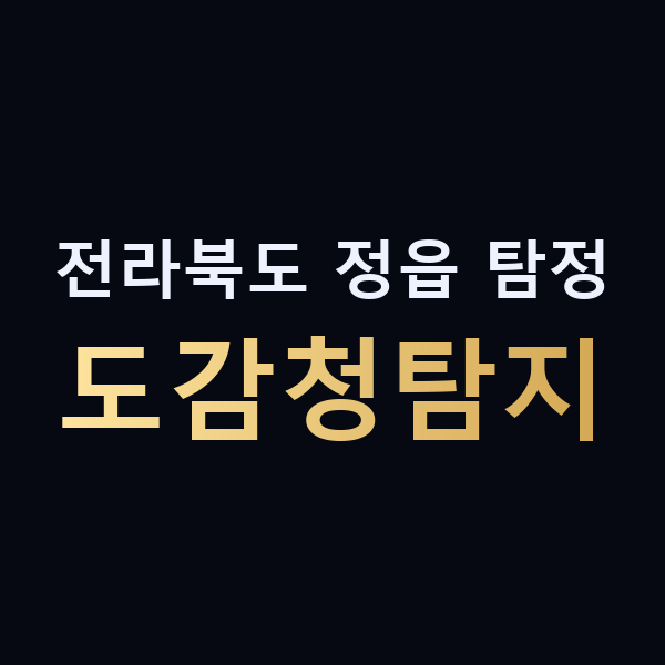 전라북도 정읍 탐정 도감청탐지 맥가이버