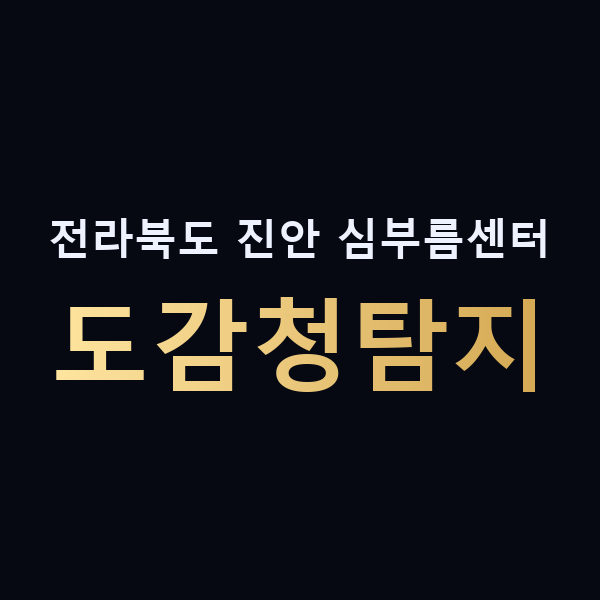 전라북도 진안 심부름센터 도감청탐지 맥가이버