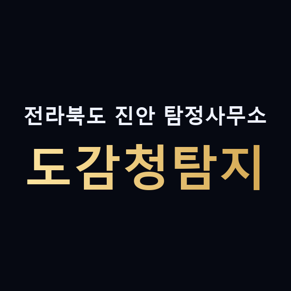 전라북도 진안 탐정사무소 도감청탐지 맥가이버