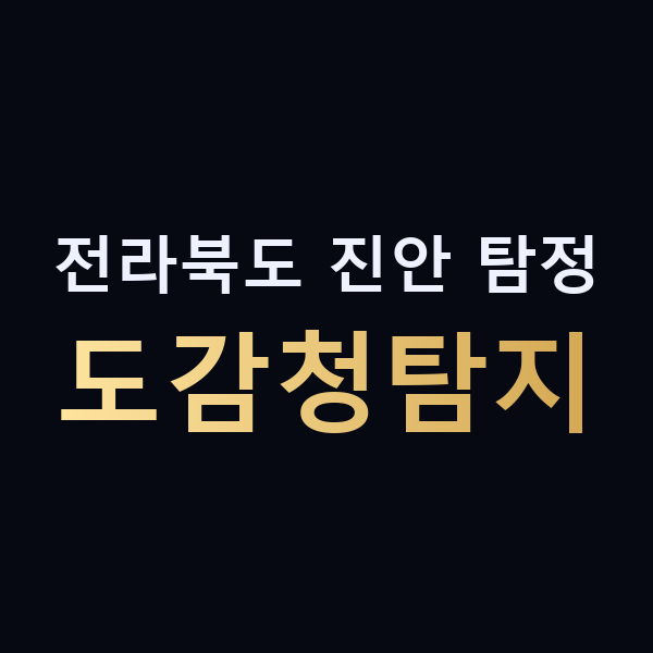 전라북도 진안 탐정 도감청탐지 맥가이버