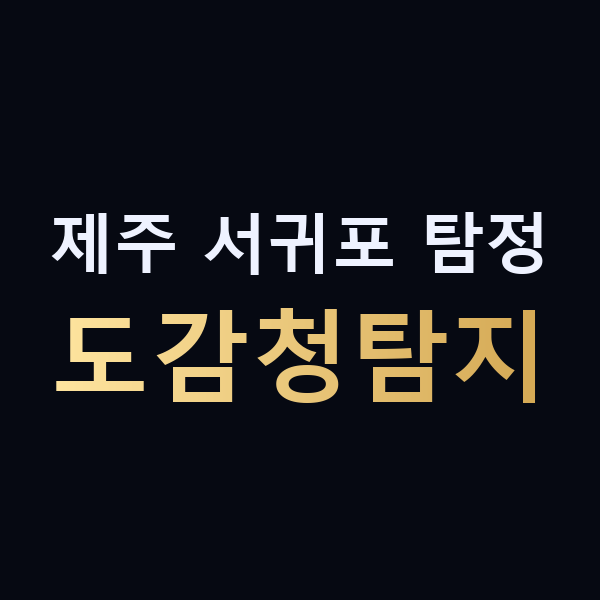 제주 서귀포 탐정 도감청탐지 맥가이버