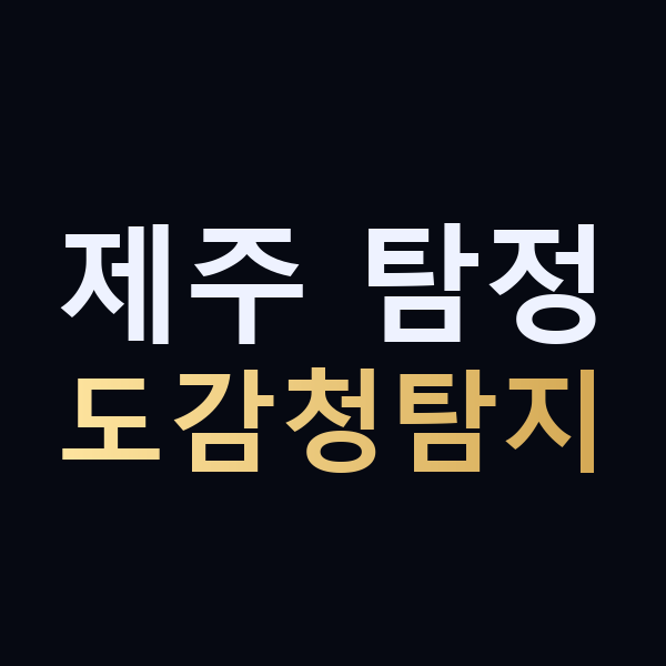 제주 탐정 도감청탐지 맥가이버