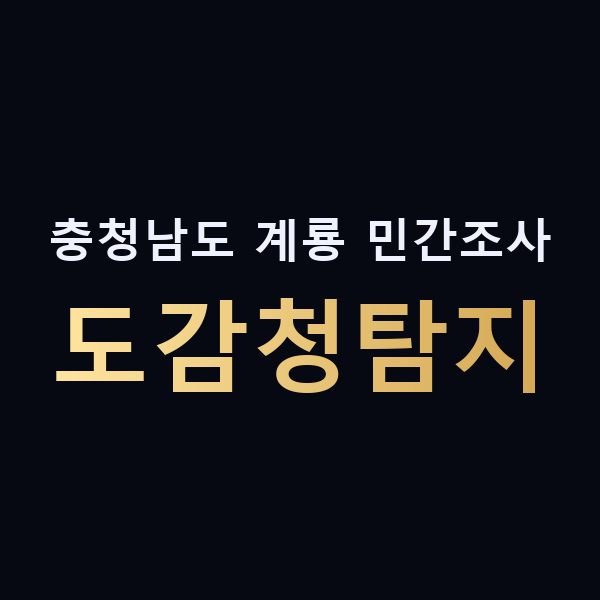 충청남도 계룡 민간조사 도감청탐지 맥가이버