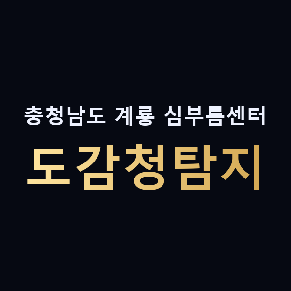 충청남도 계룡 심부름센터 도감청탐지 맥가이버