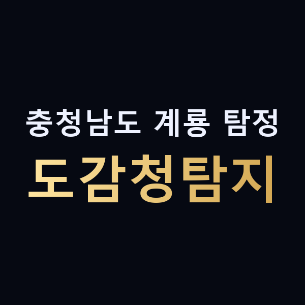 충청남도 계룡 탐정 도감청탐지 맥가이버