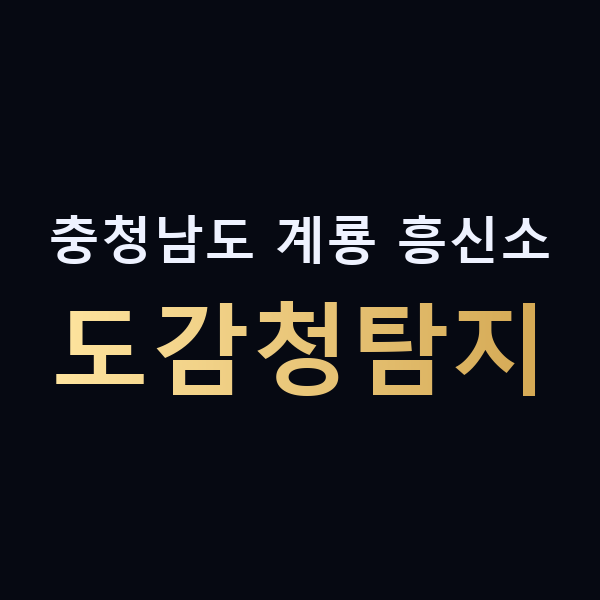 충청남도 계룡 흥신소 도감청탐지 맥가이버