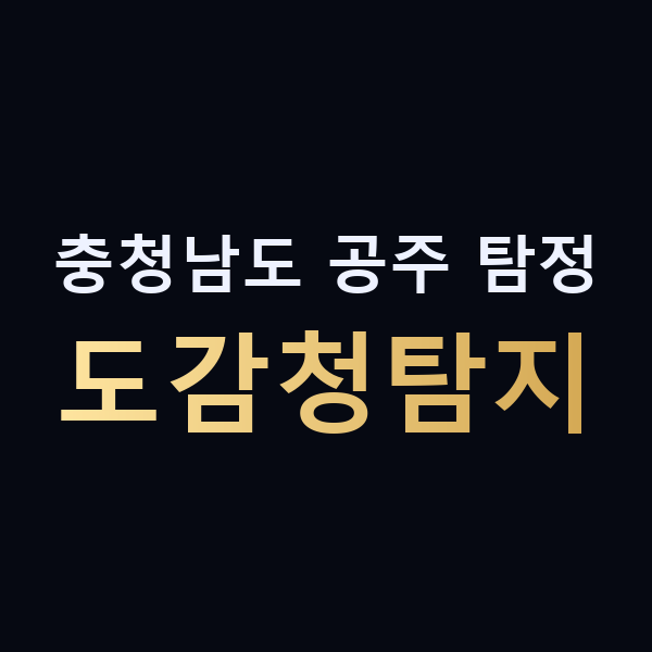 충청남도 공주 탐정 도감청탐지 맥가이버