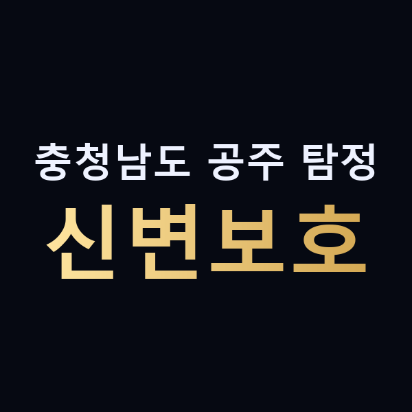 충청남도 공주 탐정 신변보호 맥가이버