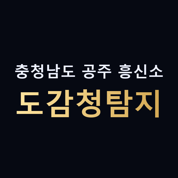 충청남도 공주 흥신소 도감청탐지 맥가이버
