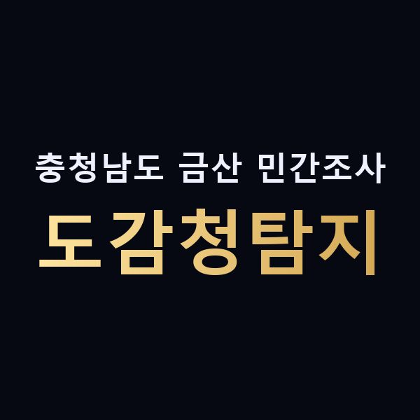 충청남도 금산 민간조사 도감청탐지 맥가이버