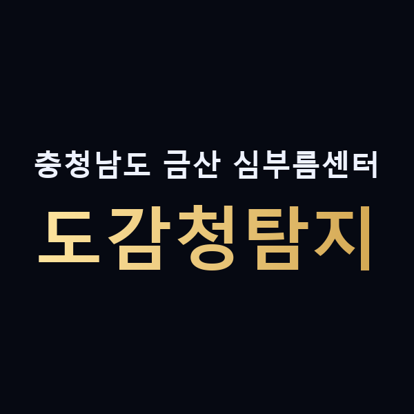 충청남도 금산 심부름센터 도감청탐지 맥가이버