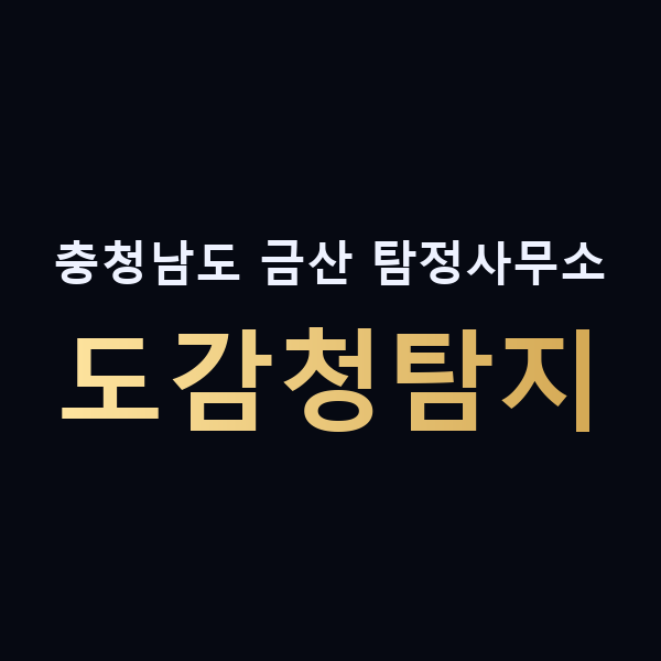 충청남도 금산 탐정사무소 도감청탐지 맥가이버