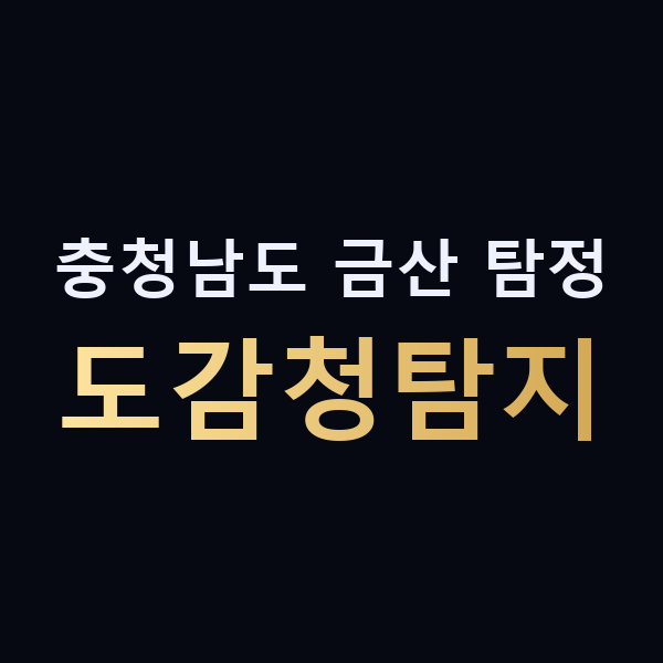 충청남도 금산 탐정 도감청탐지 맥가이버