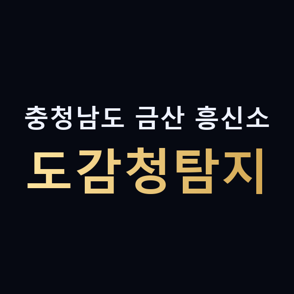 충청남도 금산 흥신소 도감청탐지 맥가이버