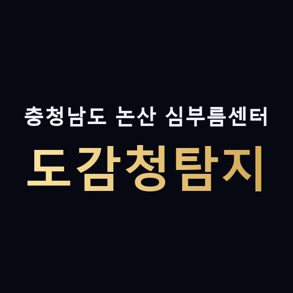 충청남도 논산 심부름센터 도감청탐지 맥가이버