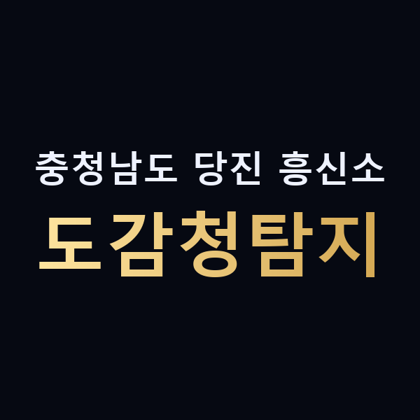 충청남도 당진 흥신소 도감청탐지 맥가이버