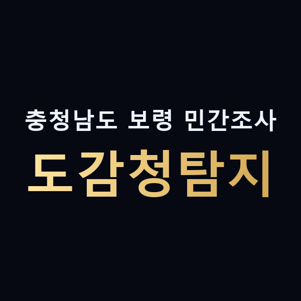 충청남도 보령 민간조사 도감청탐지 맥가이버