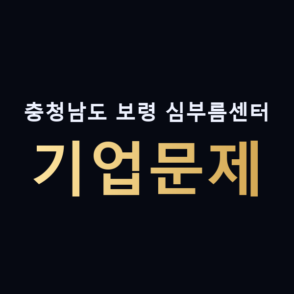 충청남도 보령 심부름센터 기업문제 맥가이버