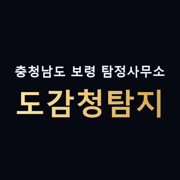 충청남도 보령 탐정사무소 도감청탐지 맥가이버