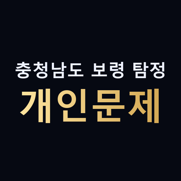 충청남도 보령 탐정 개인문제 맥가이버