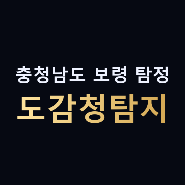 충청남도 보령 탐정 도감청탐지 맥가이버